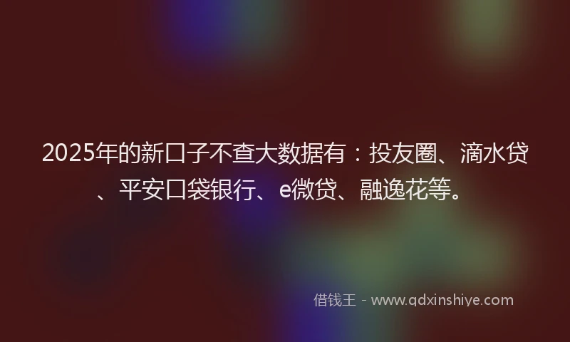 2025年的新口子不查大数据有：投友圈、滴水贷、平安口袋银行、e微贷、融逸花等。