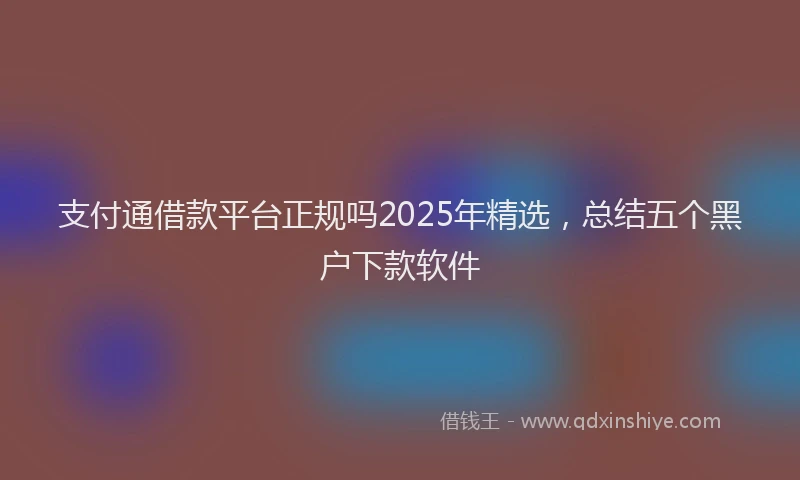 支付通借款平台正规吗2025年精选，总结五个黑户下款软件