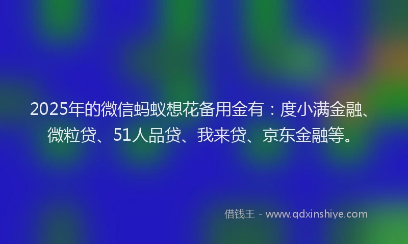 2025年的微信蚂蚁想花备用金有：度小满金融、微粒贷、51人品贷、我来贷、京东金融等。