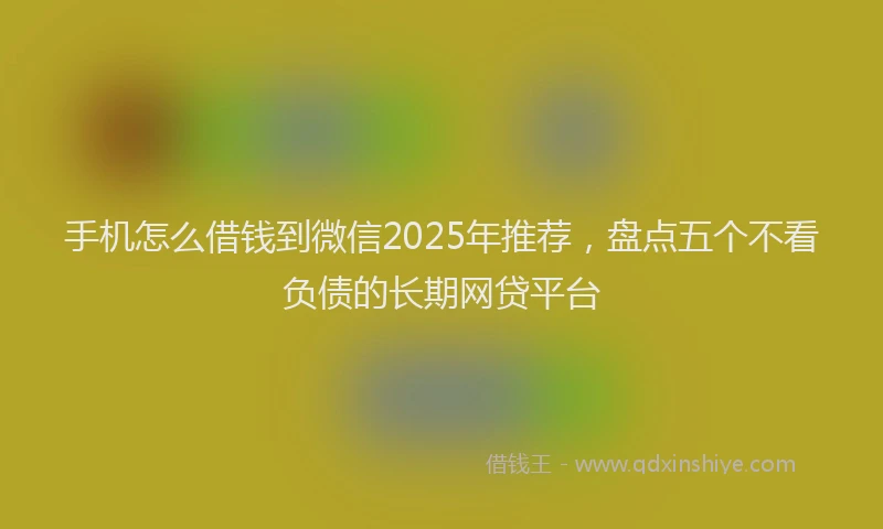 手机怎么借钱到微信2025年推荐，盘点五个不看负债的长期网贷平台