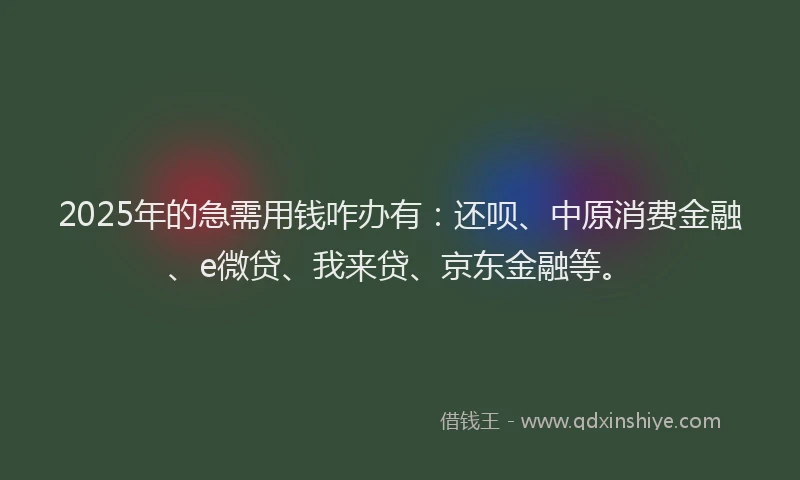 2025年的急需用钱咋办有：还呗、中原消费金融、e微贷、我来贷、京东金融等。