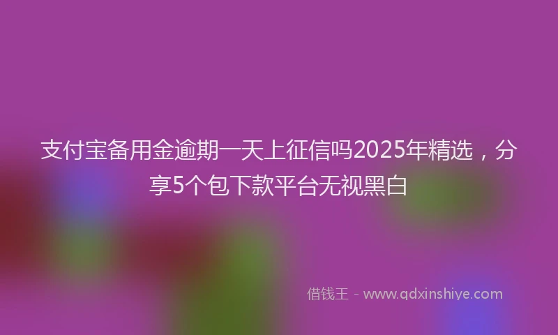 支付宝备用金逾期一天上征信吗2025年精选，分享5个包下款平台无视黑白