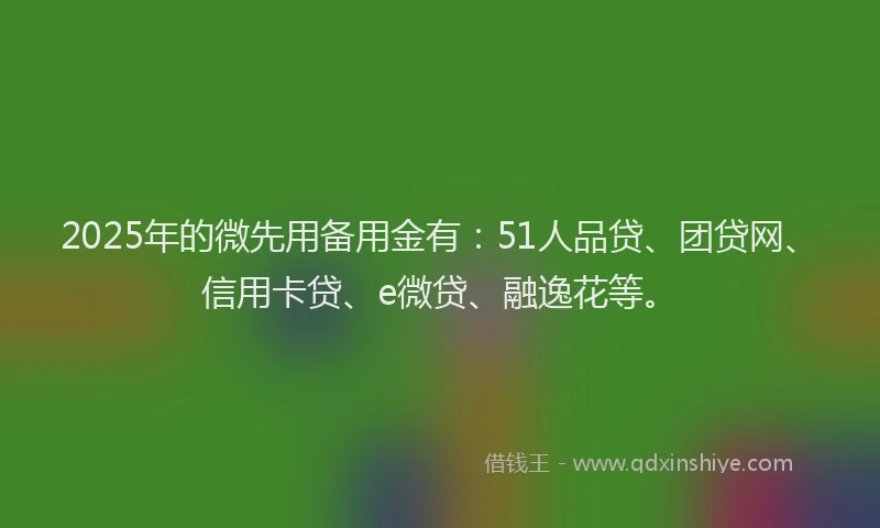 2025年的微先用备用金有：51人品贷、团贷网、信用卡贷、e微贷、融逸花等。