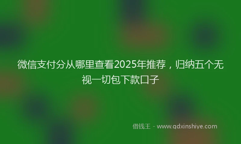 微信支付分从哪里查看2025年推荐，归纳五个无视一切包下款口子
