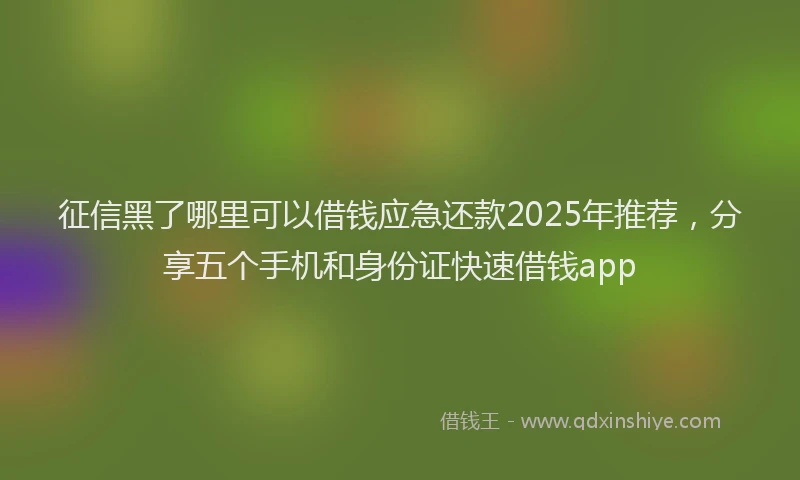 征信黑了哪里可以借钱应急还款2025年推荐，分享五个手机和身份证快速借钱app