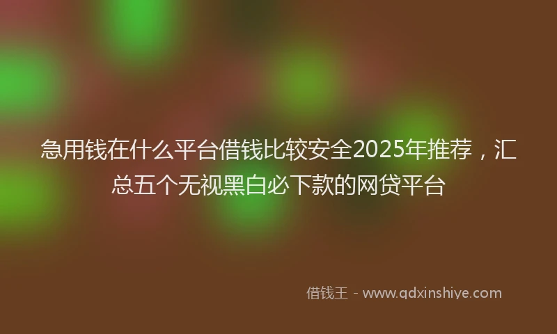 急用钱在什么平台借钱比较安全2025年推荐，汇总五个无视黑白必下款的网贷平台