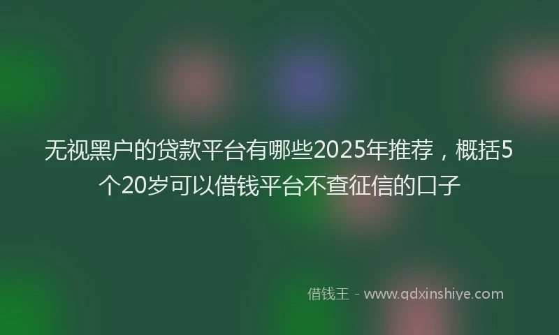 无视黑户的贷款平台有哪些2025年推荐，概括5个20岁可以借钱平台不查征信的口子