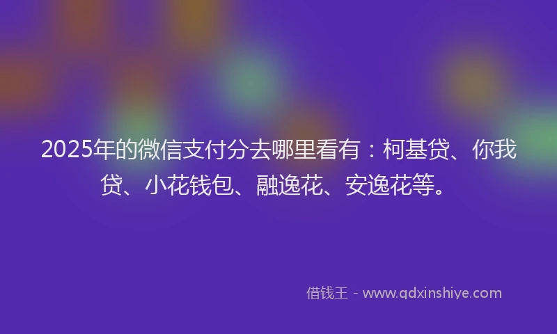 2025年的微信支付分去哪里看有：柯基贷、你我贷、小花钱包、融逸花、安逸花等。