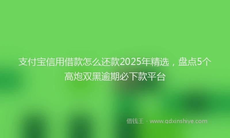 支付宝信用借款怎么还款2025年精选，盘点5个高炮双黑逾期必下款平台