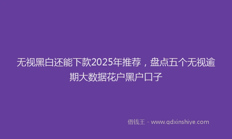 无视黑白还能下款2025年推荐，盘点五个无视逾期大数据花户黑户口子