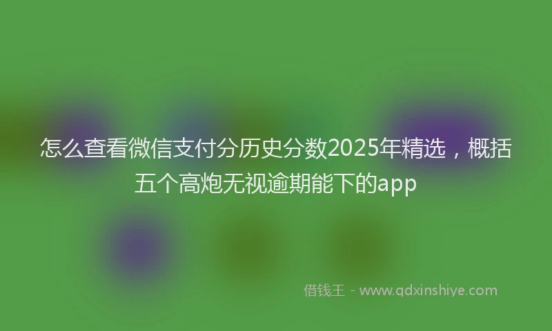 怎么查看微信支付分历史分数2025年精选，概括五个高炮无视逾期能下的app