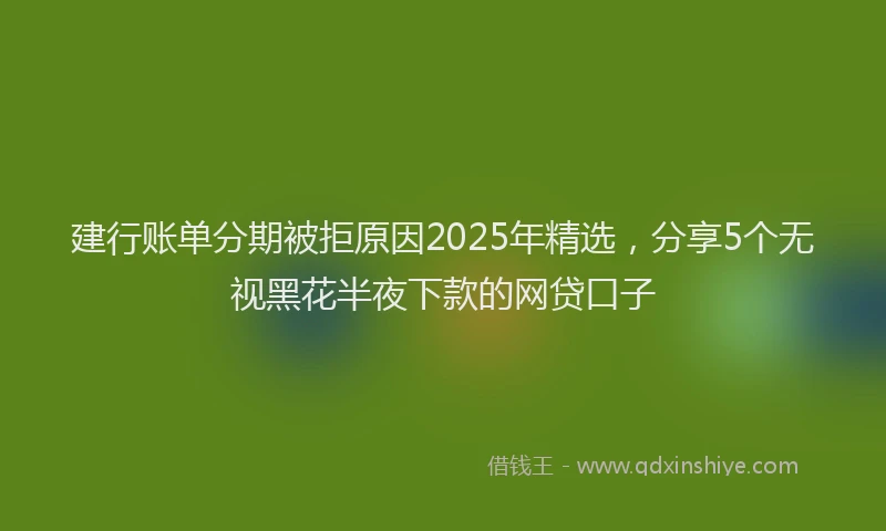 建行账单分期被拒原因2025年精选，分享5个无视黑花半夜下款的网贷口子