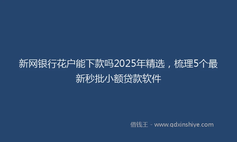 新网银行花户能下款吗2025年精选，梳理5个最新秒批小额贷款软件