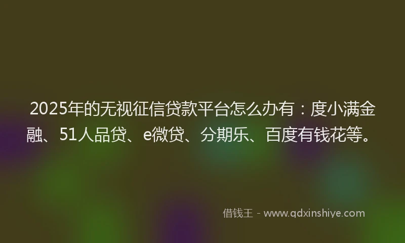 2025年的无视征信贷款平台怎么办有：度小满金融、51人品贷、e微贷、分期乐、百度有钱花等。