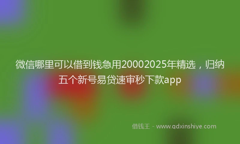 微信哪里可以借到钱急用20002025年精选，归纳五个新号易贷速审秒下款app