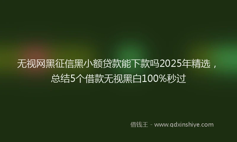 无视网黑征信黑小额贷款能下款吗2025年精选，总结5个借款无视黑白100%秒过