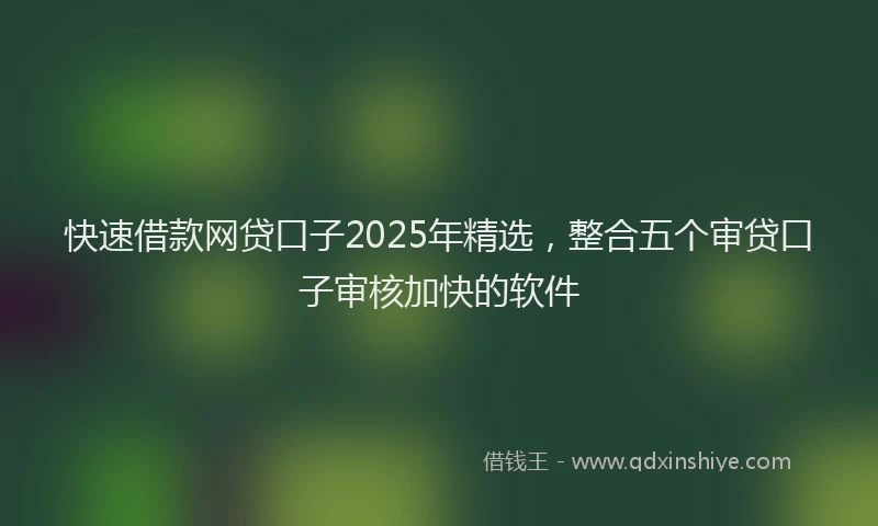 快速借款网贷口子2025年精选，整合五个审贷口子审核加快的软件