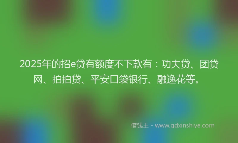 2025年的招e贷有额度不下款有：功夫贷、团贷网、拍拍贷、平安口袋银行、融逸花等。