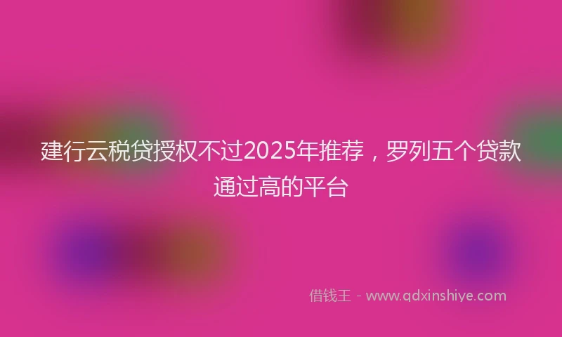 建行云税贷授权不过2025年推荐，罗列五个贷款通过高的平台