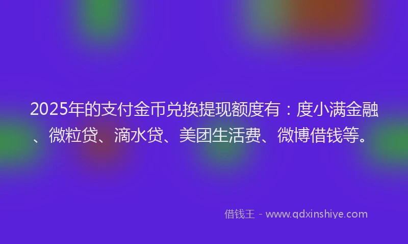 2025年的支付金币兑换提现额度有：度小满金融、微粒贷、滴水贷、美团生活费、微博借钱等。