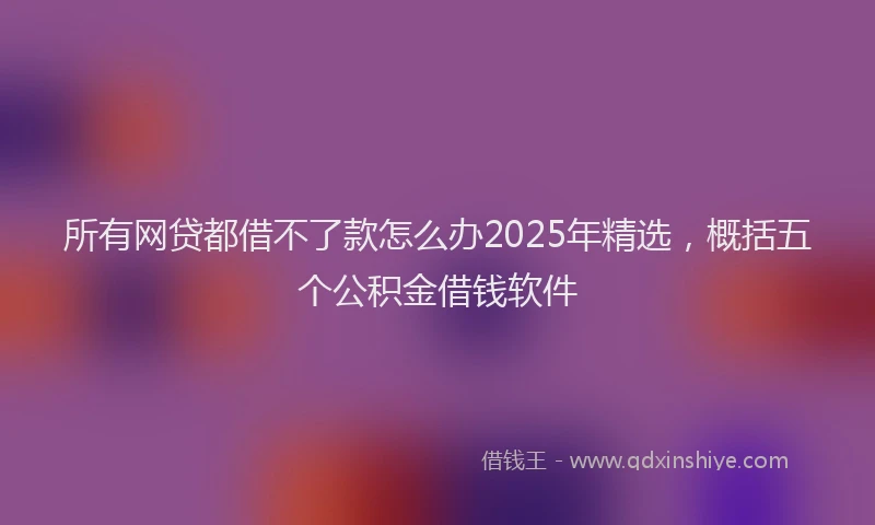 所有网贷都借不了款怎么办2025年精选，概括五个公积金借钱软件