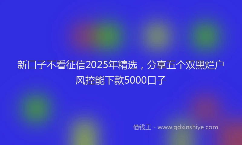 新口子不看征信2025年精选，分享五个双黑烂户风控能下款5000口子