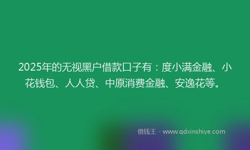 2025年的无视黑户借款口子有：度小满金融、小花钱包、人人贷、中原消费金融、安逸花等。