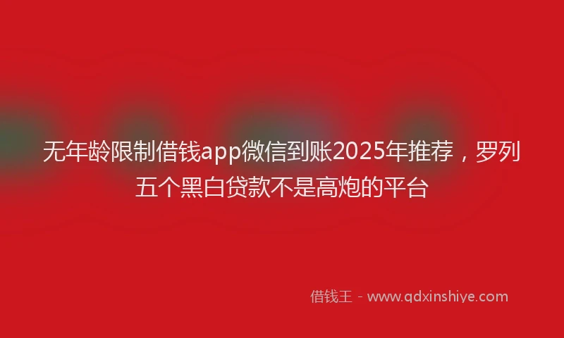 无年龄限制借钱app微信到账2025年推荐，罗列五个黑白贷款不是高炮的平台
