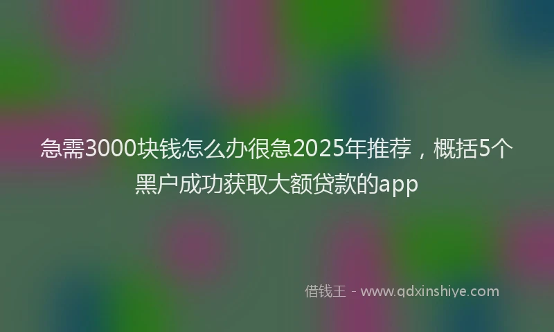 急需3000块钱怎么办很急2025年推荐，概括5个黑户成功获取大额贷款的app