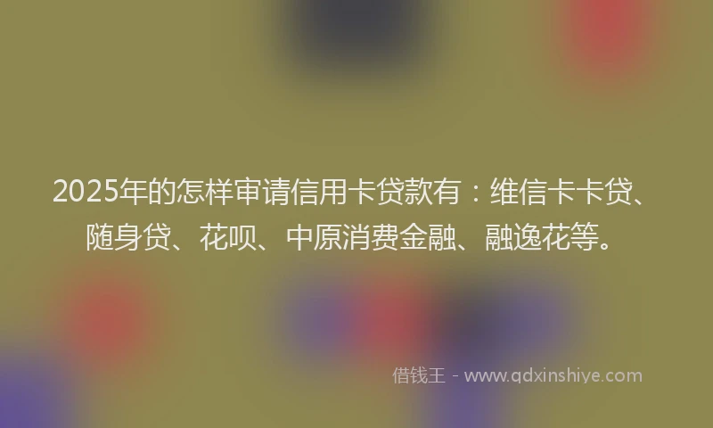 2025年的怎样审请信用卡贷款有：维信卡卡贷、随身贷、花呗、中原消费金融、融逸花等。