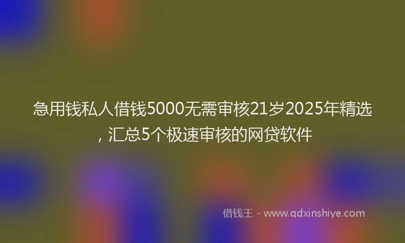 急用钱私人借钱5000无需审核21岁2025年精选，汇总5个极速审核的网贷软件