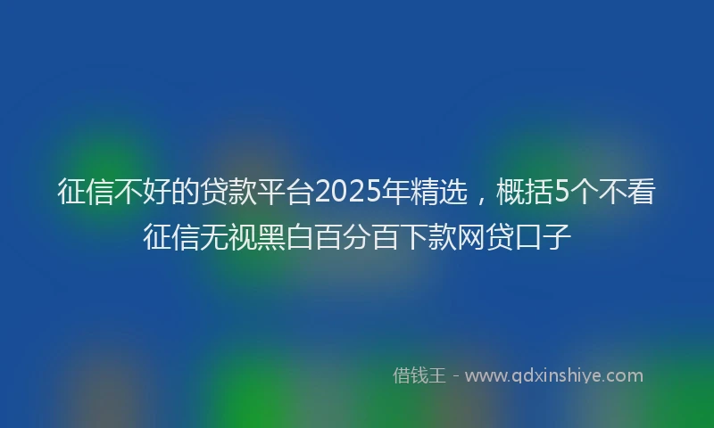 征信不好的贷款平台2025年精选，概括5个不看征信无视黑白百分百下款网贷口子