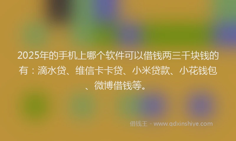 2025年的手机上哪个软件可以借钱两三千块钱的有：滴水贷、维信卡卡贷、小米贷款、小花钱包、微博借钱等。
