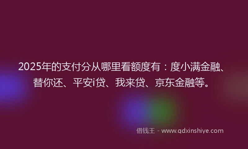 2025年的支付分从哪里看额度有：度小满金融、替你还、平安i贷、我来贷、京东金融等。