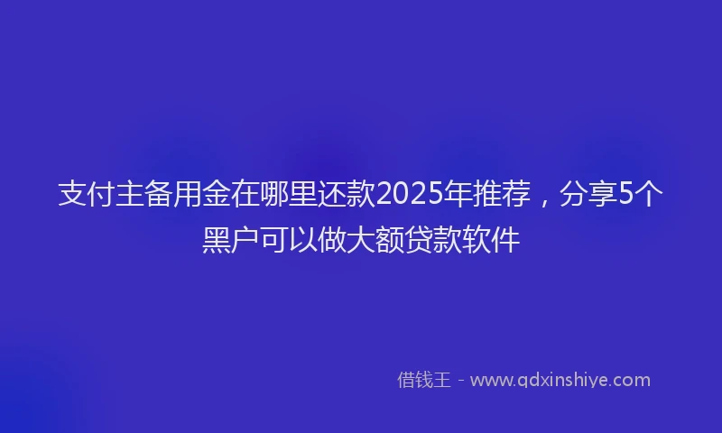 支付主备用金在哪里还款2025年推荐，分享5个黑户可以做大额贷款软件