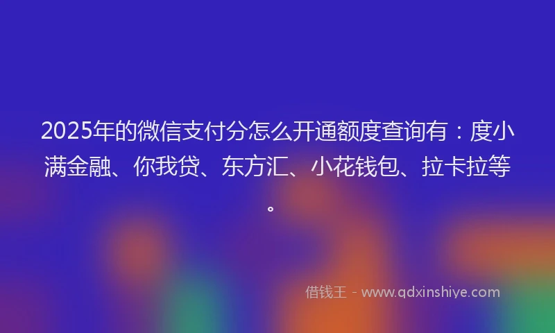 2025年的微信支付分怎么开通额度查询有：度小满金融、你我贷、东方汇、小花钱包、拉卡拉等。