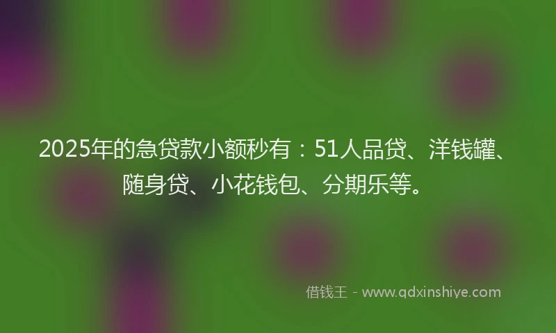 2025年的急贷款小额秒有：51人品贷、洋钱罐、随身贷、小花钱包、分期乐等。
