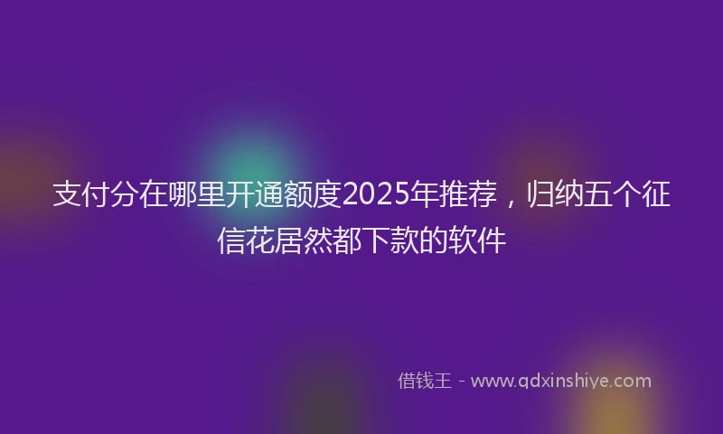 支付分在哪里开通额度2025年推荐，归纳五个征信花居然都下款的软件