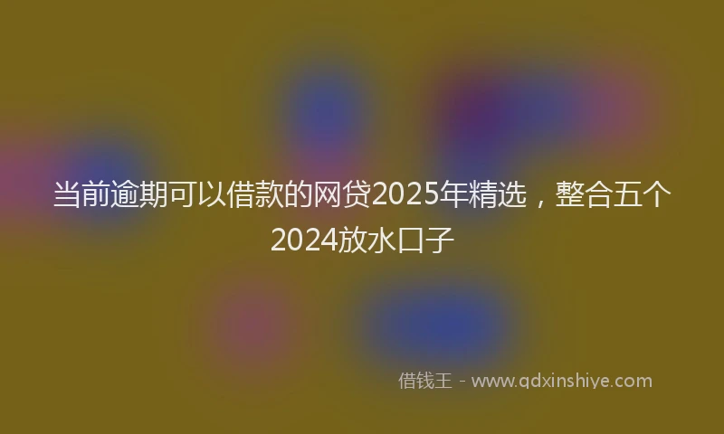 当前逾期可以借款的网贷2025年精选，整合五个2024放水口子