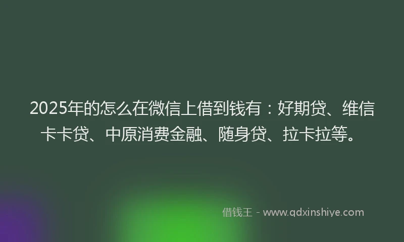 2025年的怎么在微信上借到钱有：好期贷、维信卡卡贷、中原消费金融、随身贷、拉卡拉等。