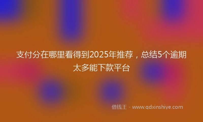 支付分在哪里看得到2025年推荐，总结5个逾期太多能下款平台