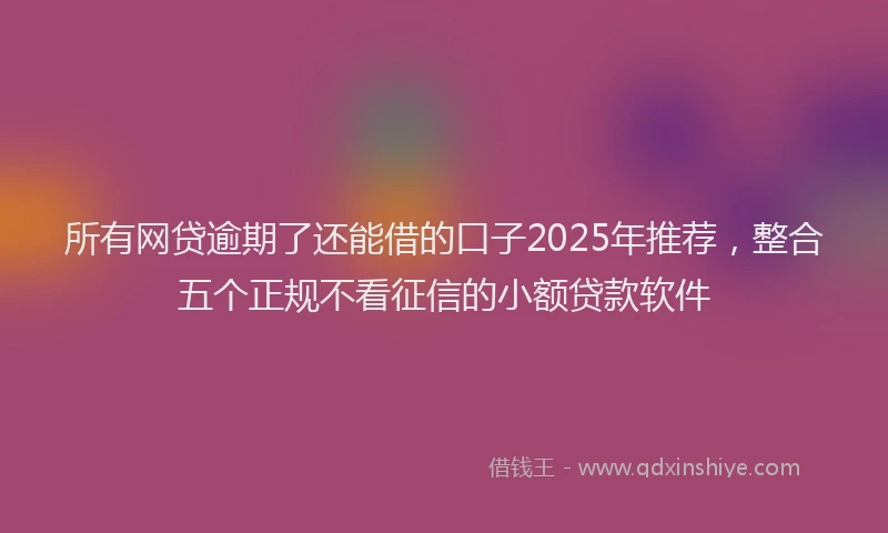 所有网贷逾期了还能借的口子2025年推荐，整合五个正规不看征信的小额贷款软件