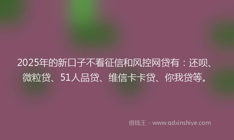 2025年的新口子不看征信和风控网贷有：还呗、微粒贷、51人品贷、维信卡卡贷、你我贷等。