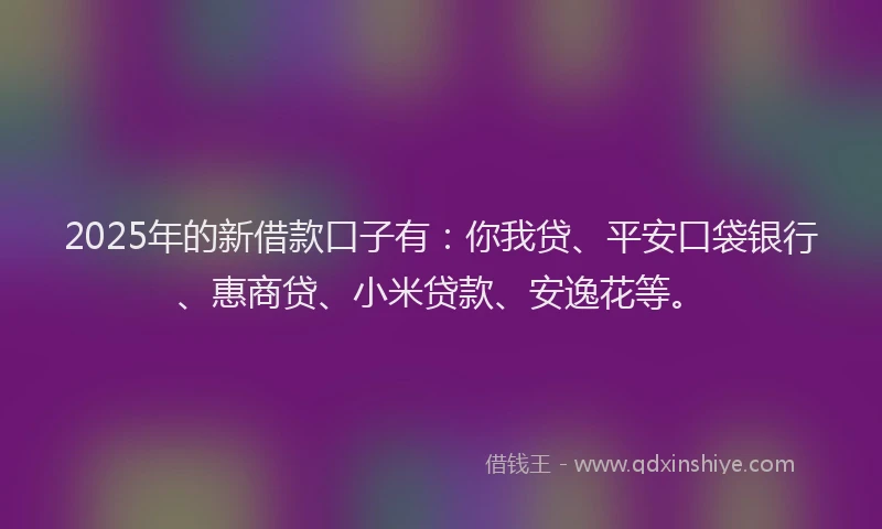 2025年的新借款口子有：你我贷、平安口袋银行、惠商贷、小米贷款、安逸花等。