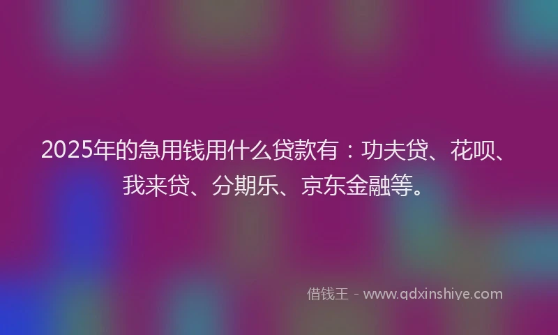 2025年的急用钱用什么贷款有：功夫贷、花呗、我来贷、分期乐、京东金融等。