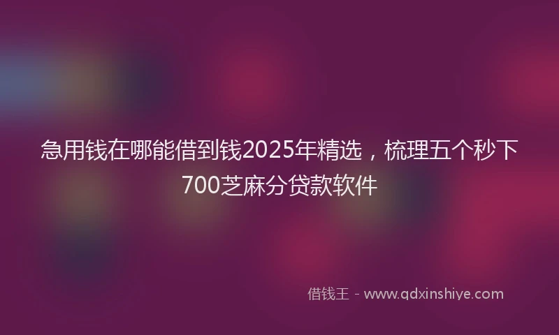 急用钱在哪能借到钱2025年精选，梳理五个秒下700芝麻分贷款软件