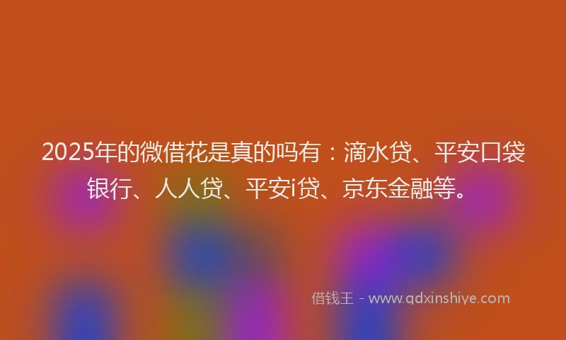 2025年的微借花是真的吗有：滴水贷、平安口袋银行、人人贷、平安i贷、京东金融等。