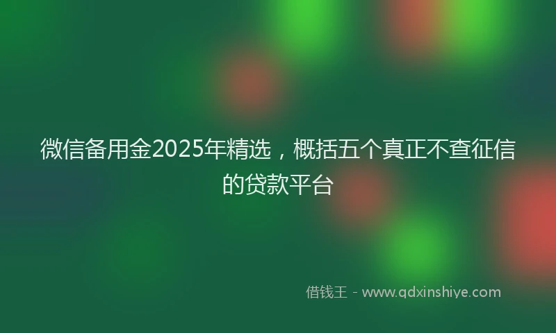 微信备用金2025年精选，概括五个真正不查征信的贷款平台