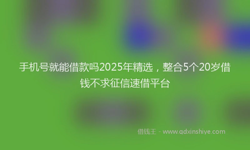 手机号就能借款吗2025年精选，整合5个20岁借钱不求征信速借平台