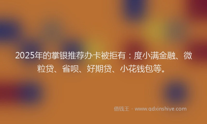 2025年的掌银推荐办卡被拒有：度小满金融、微粒贷、省呗、好期贷、小花钱包等。